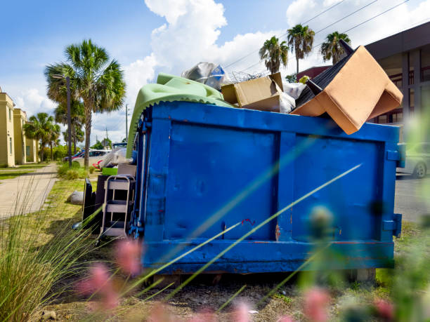 Professional Junk Removal in Effort, PA